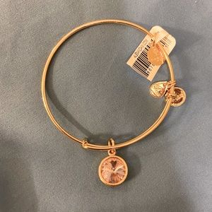 Alex and Ani Bracelet